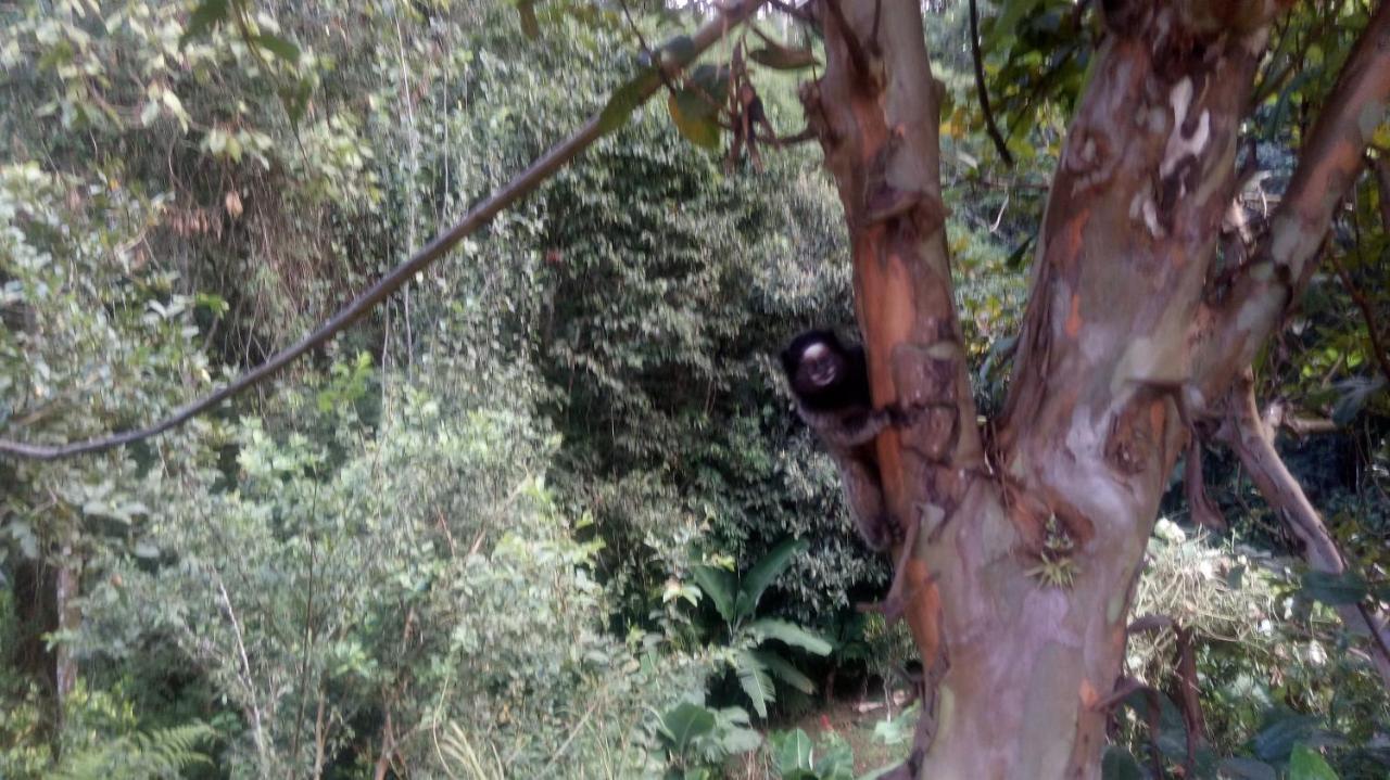 Chales Pouso Do Vale Visconde De Maua Bagian luar foto